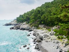 Dongbaek Island