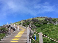 Mt. Halla