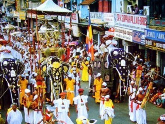 世界遺産キャンディ日帰り観光ツアー　ピンナワラ象の孤児院＆ペーラーデニヤ植物園 ＜貸切／日本語ガイド＞