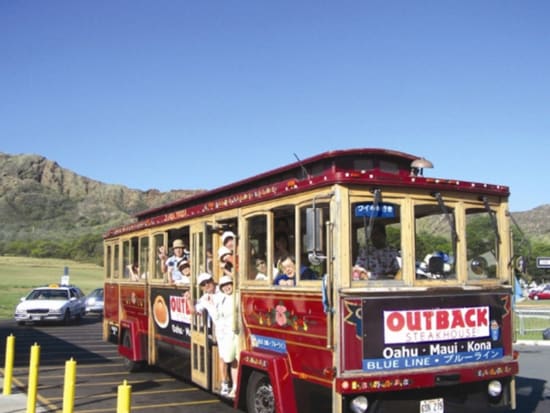  Waikiki Trolley Pass Hop-On Hop-Off Bus - Full Access to 