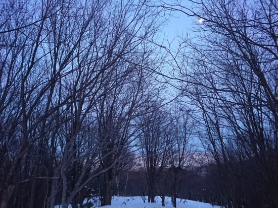 ナイトスノーシューツアー 旭山公園2時間コース 日本三大夜景の森を歩く！防寒具4点セットレンタルプランあり＜12～3月／札幌中心部送迎付＞