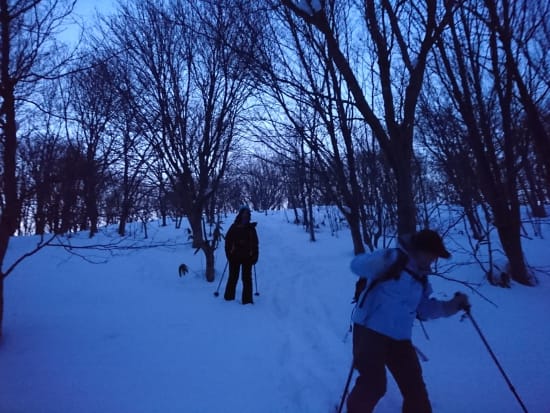 ナイトスノーシューツアー 旭山公園2時間コース 日本三大夜景の森を歩く！防寒具4点セットレンタルプランあり＜12～3月／札幌中心部送迎付＞