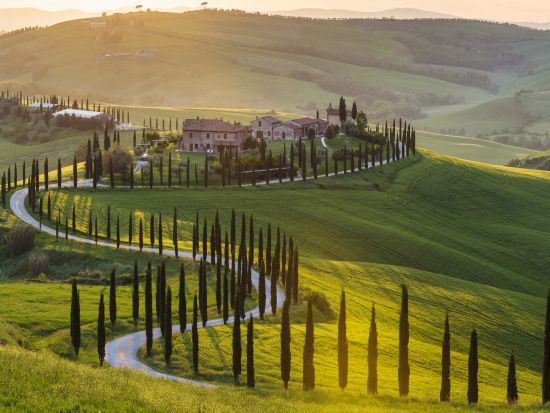 Small Group Tours of Tuscany