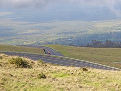 IMG_0511