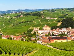 View of Barolo