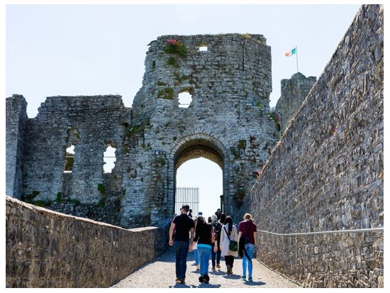 ボイン渓谷日帰りツアー　タラの丘＆トリム城＆ラフクルーの墓地 ＜英語ドライバーガイド／ダブリン発＞