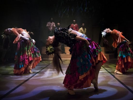 情熱の民族ダンスショー！リズム・オブ・ダンス＜20:30開演／火・木・土／イスタンブール＞by Hodjapasha Dance Theater