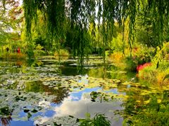 France_Giverny_Monet's_Garden