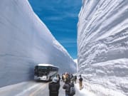 Snow Wall at Tateyama's Snow Corridor