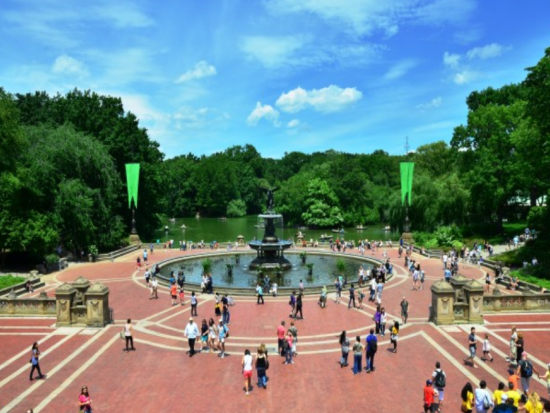 ニューヨーク観光ツアー　リバティー島上陸＆自由の女神クルーズ＆ハイライン＆チェルシーマーケット ＜日本語ガイド＞