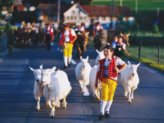 Appenzell, Goat, Alpaufzug, Child, Costume