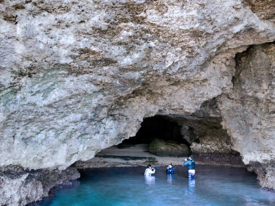 石垣島 青の洞窟シュノーケル＆渓流滝遊び　自然の恵みを感じるアクティビティーツアー＜石垣島＞