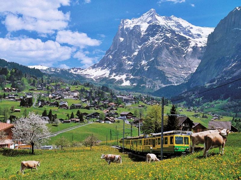 grindelwald, switzerland, cogwheel train, alps