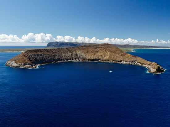 ナ・パリ・コースト クルーズ　立ち入り禁止の聖域「ニイハウ島」沖でのシュノーケリング付き＜朝食・ビュッフェ昼食付き／英語ガイド＞