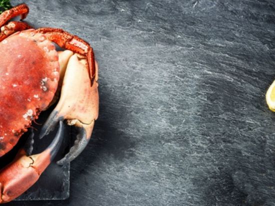 フロリダ名物グルメ　ストーンクラブディナー ＜10～5月／日本語ドライバーガイド＞