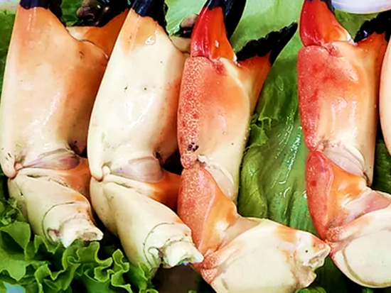 フロリダ名物グルメ　ストーンクラブディナー ＜10～5月／日本語ドライバーガイド＞