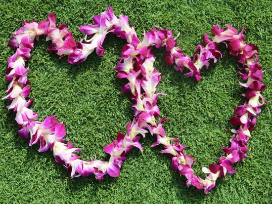 レイ・グリーティングサービス　豊富な種類のレイから選べる！グループやハネムーンプランあり＜コナ国際空港＞