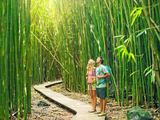 マウイ島 自然体験ツアー　カヤック＆シュノーケリング＆ハイキング＆滝遊び ＜昼食付き／英語ガイド＞