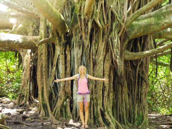 【貸切】マウイ島観光ツアー 天国のハナ　選べる4つのプライベート観光プランで風光明媚なハナへの道をドライブ＜1日／英語ガイド＞