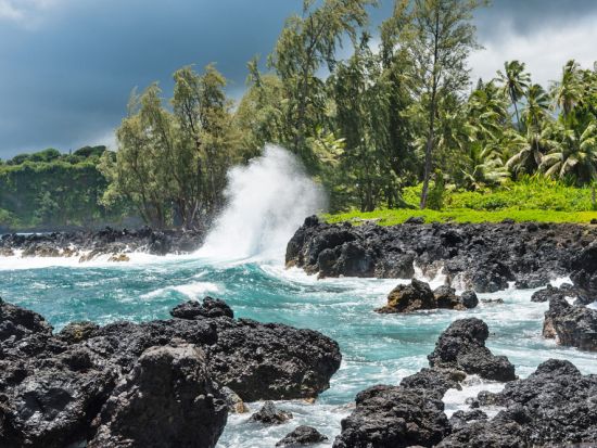 【貸切】マウイ島観光ツアー 天国のハナ　選べる4つのプライベート観光プランで風光明媚なハナへの道をドライブ＜1日／英語ガイド＞