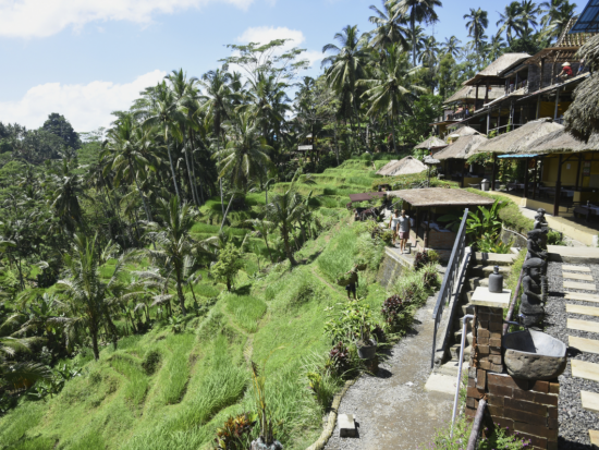 バリ島 1日観光ツアー　ウブド＆世界遺産タマン・アユン寺院＆タナロット寺院＆テガララン（棚田）＆ゴアガジャ遺跡 ＜昼食＆夕食付き／日本語ガイド＞by JTB