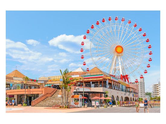 貸切観光タクシー　美ら海水族館・万座毛・首里城など思い通りにめぐるセミオーダーのプライベートツアー＜5～10時間／1～9名／那覇市内・空港送迎可＞