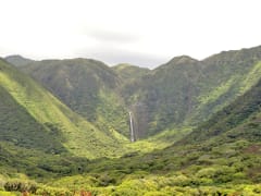 Hawaii_Maui_Hidden Waterfall