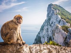 Gibraltar Rock & Macaque_shutterstock_161855363