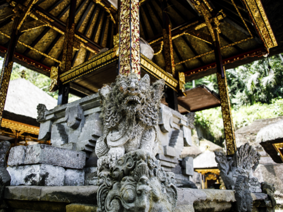 グヌンカウイ遺跡＆世界遺産ティルタ・エンプル寺院 1日観光ツアー　バリ最大の石窟遺跡をめぐる ＜昼食付き／日本語ガイド＞by JTB