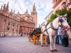 Seville Cathedral_shutterstock_342588425