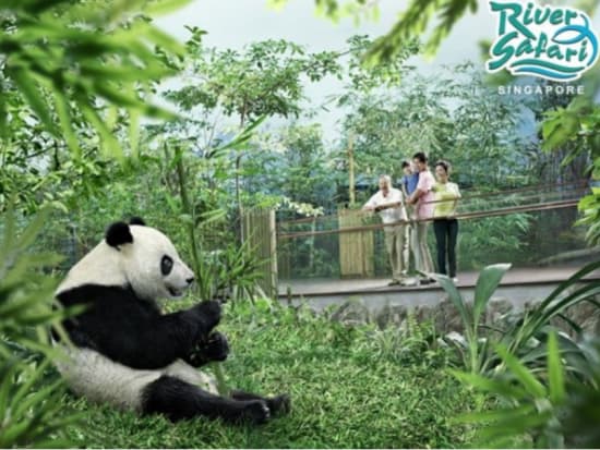リバーサファリ (その他動物園) | シンガポールの観光・ツアーの予約 VELTRA(ベルトラ)