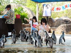 DSC_0151 (1)