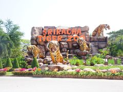 DSC_0176 (1)