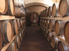 tour_img-538551-145