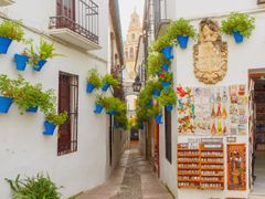 Cordoba_Callejas de las Flores_shutterstock_529461664