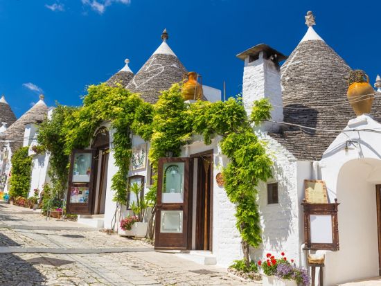 列車で行く 世界遺産の町アルベロベッロまたはマテーラ日帰り観光ツアー 宿泊プランあり＜貸切／ローマ発＞by Max Harvest