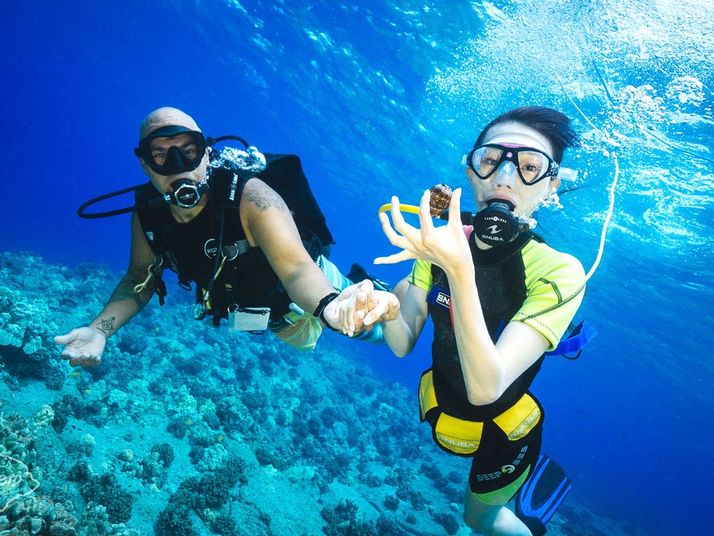 Big Island SNUBA Diving Tour from Kona Guided Beach SNUBA Dive