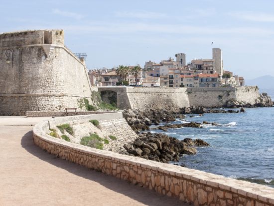 コートダジュール 日帰りツアー　モナコ＋エズ＋カンヌ＋アンティーブ＋フラゴナール香水工場見学付き＜英語／ニース発＞