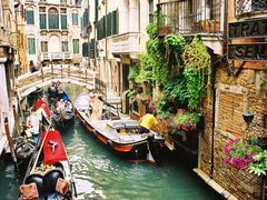 Venezia