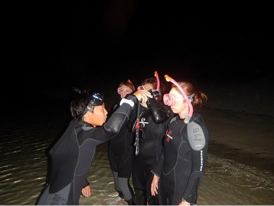 ナイトシュノーケリングツアー　星空と夜光虫に癒やされる新しい夜の楽しみかた＜2-12月／市街地送迎無料／石垣島発＞