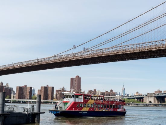 New-York-Ferry-04_preview (1)