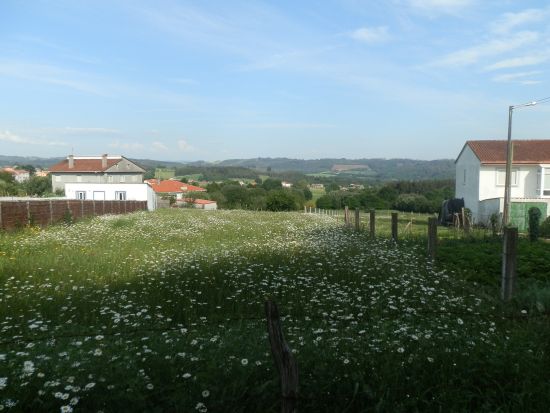 【プライベートツアー】100km歩くサンティアゴ巡礼の道！6泊7日ツアー＜マドリード発サンティアゴ・デ・コンポステーラ着＞ by[みゅう]