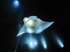 20121127043840_1649044036_3092_0