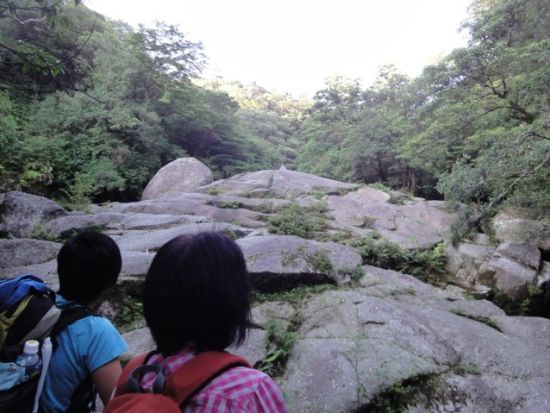 白谷雲水峡半日（苔むす森まで）トレッキングツアー  基本登山装備3点レンタル可能プランもあり by 屋久島ガイド21EC-K