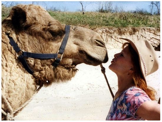 ラクダ乗り体験ツアー＜午前 or 午後／英語＞