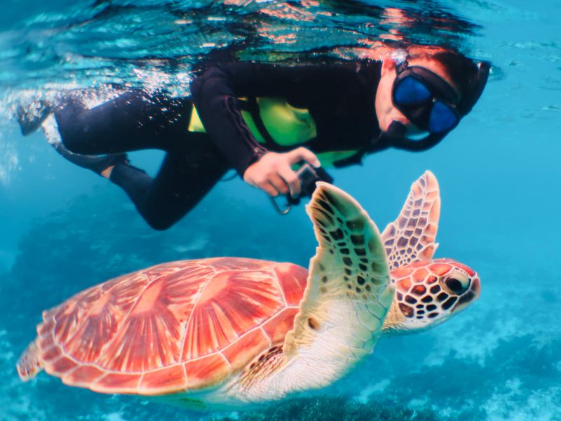 繧ｦ繝溘ぎ繝｡2