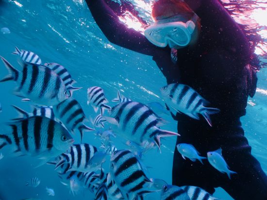 宮古島定番アクティビティ お魚さがし体験＋サンセットSUPセットプラン＜再チャレンジ無料保証／写真付き／1日／宮古島＞