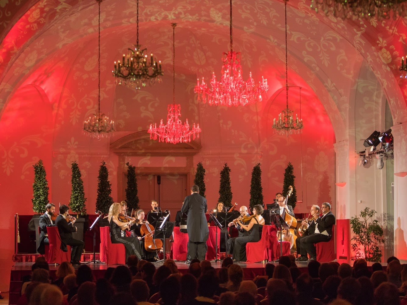 Vienna Schoenbrunn Palace Classical Concert With Tour And Dinner Tours ...