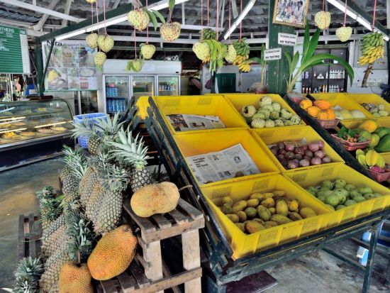 ぺナン島ぐるっと周遊観光ツアー　世界遺産ジョージタウン＆バリプラウの田舎風景 ＜ローカルランチ付き／日本語ガイド／ペナン発＞