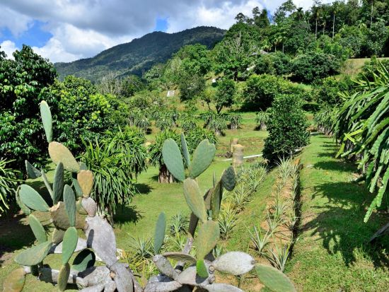 ぺナン島ぐるっと周遊観光ツアー　世界遺産ジョージタウン＆バリプラウの田舎風景 ＜ローカルランチ付き／日本語ガイド／ペナン発＞